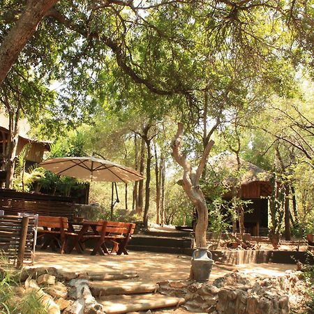 Off Beat Safaris Bush Lodge Hoedspruit Εξωτερικό φωτογραφία
