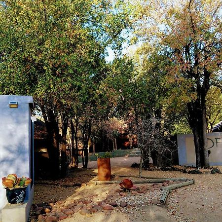 Off Beat Safaris Bush Lodge Hoedspruit Εξωτερικό φωτογραφία