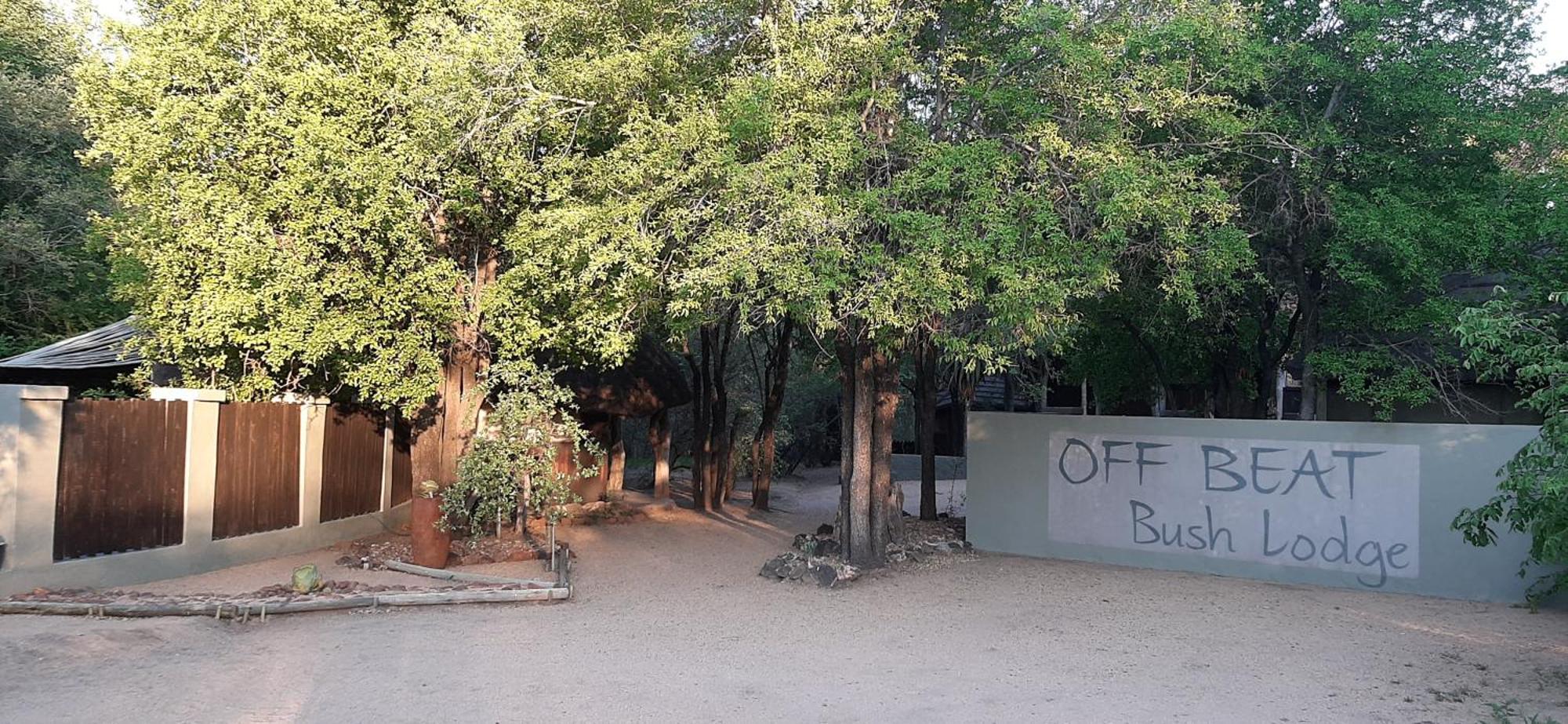 Off Beat Safaris Bush Lodge Hoedspruit Εξωτερικό φωτογραφία