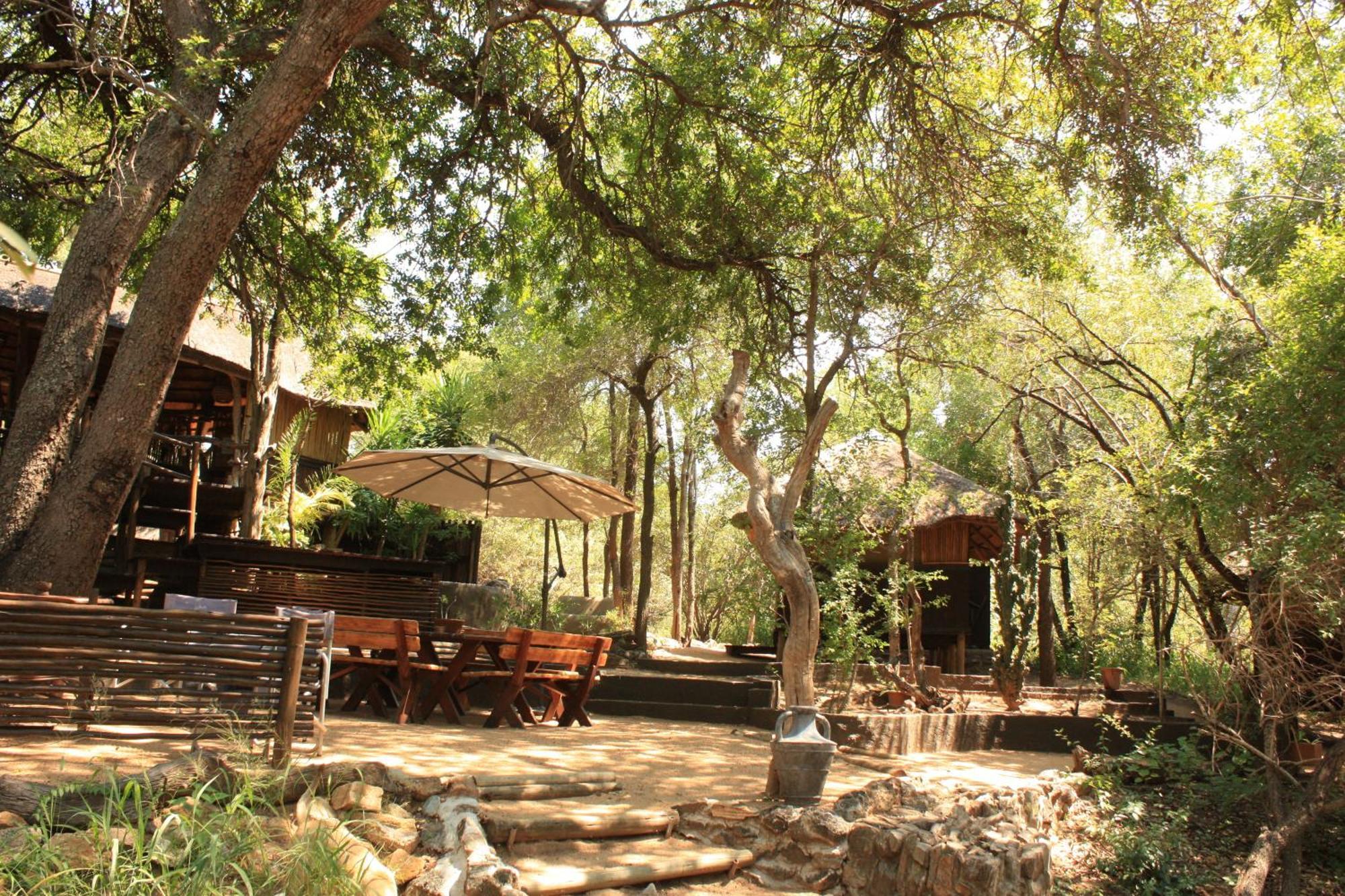 Off Beat Safaris Bush Lodge Hoedspruit Εξωτερικό φωτογραφία