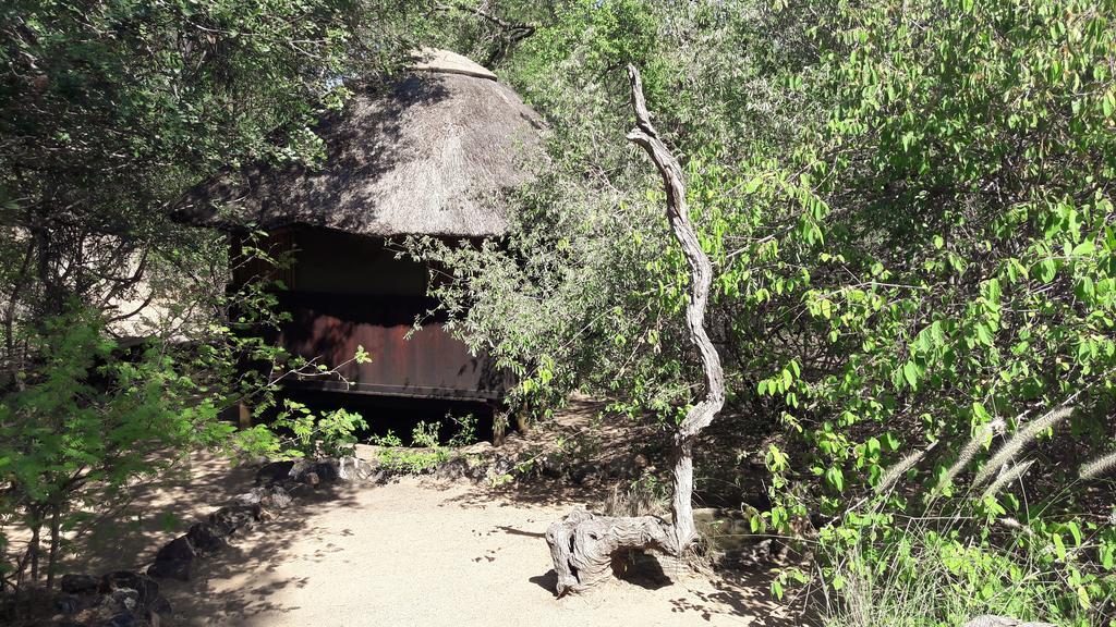 Off Beat Safaris Bush Lodge Hoedspruit Εξωτερικό φωτογραφία