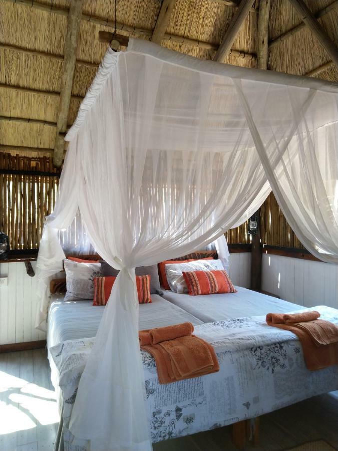 Off Beat Safaris Bush Lodge Hoedspruit Εξωτερικό φωτογραφία