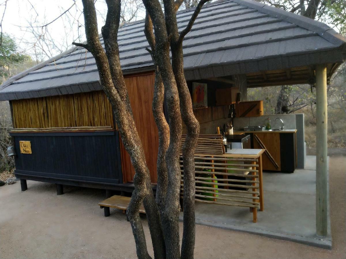 Off Beat Safaris Bush Lodge Hoedspruit Εξωτερικό φωτογραφία