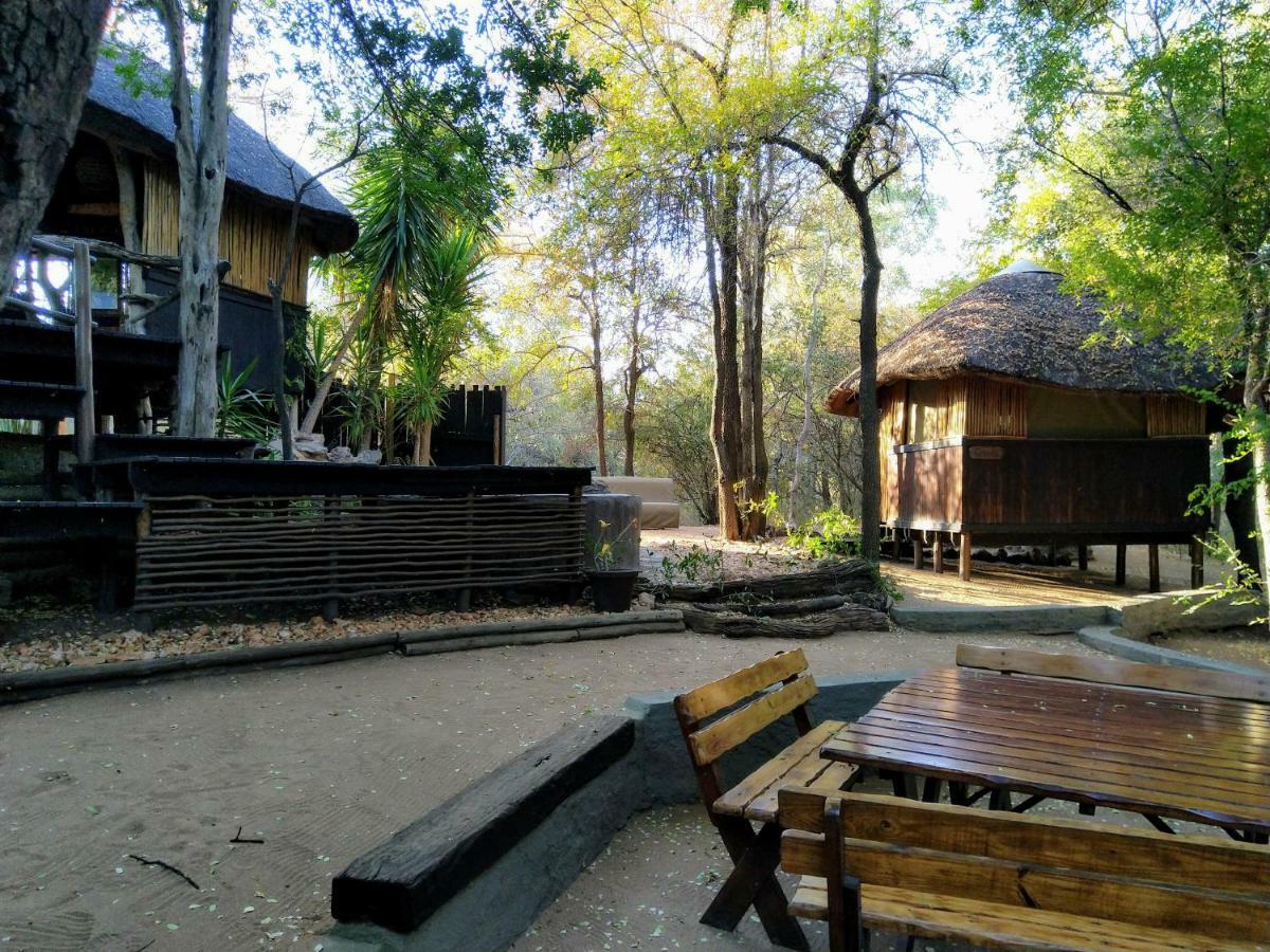 Off Beat Safaris Bush Lodge Hoedspruit Εξωτερικό φωτογραφία