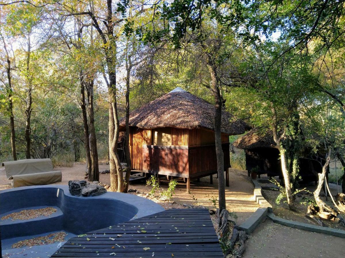 Off Beat Safaris Bush Lodge Hoedspruit Εξωτερικό φωτογραφία