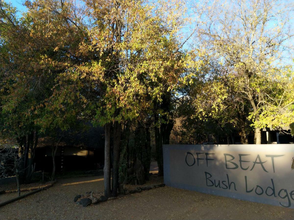 Off Beat Safaris Bush Lodge Hoedspruit Εξωτερικό φωτογραφία
