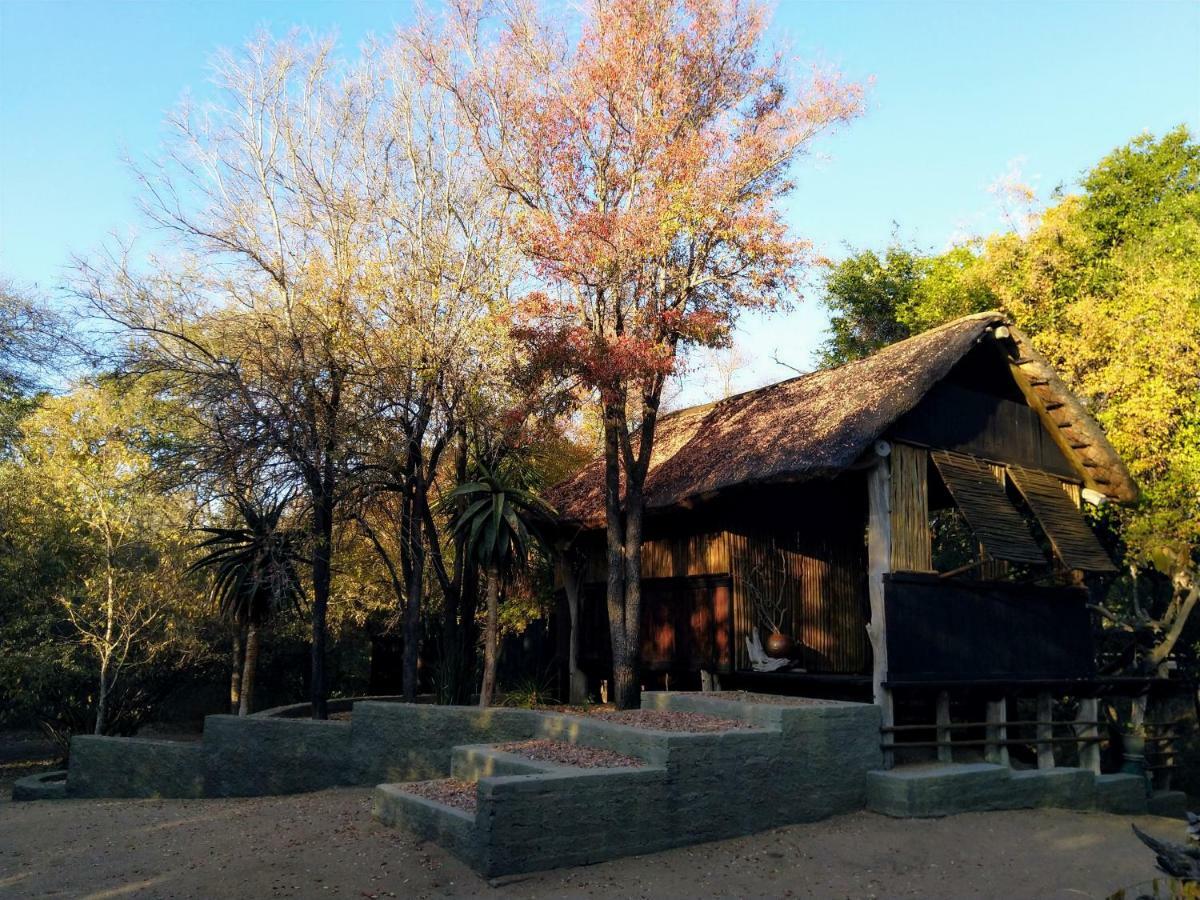 Off Beat Safaris Bush Lodge Hoedspruit Εξωτερικό φωτογραφία